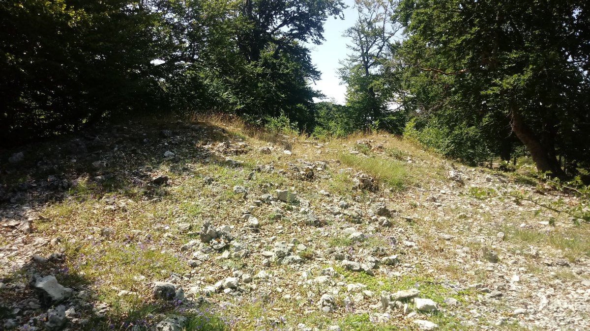 Bakedanoko Portuzargaina I Ipar trikuharria 2