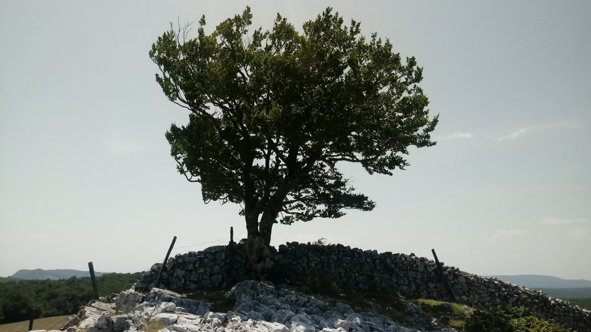 Bardoitza (1115m) tontorra Urbasa aldetik