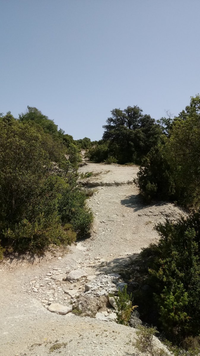 Urrako igoera