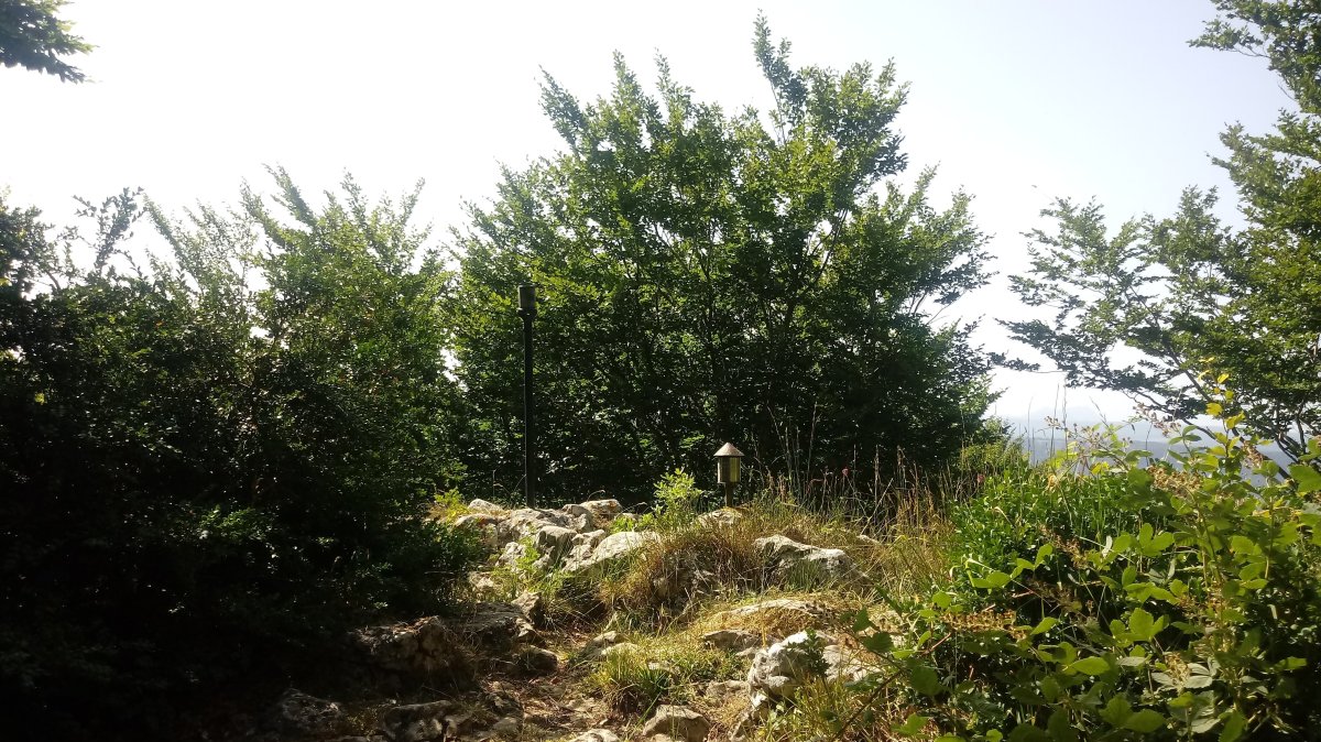 Lokitz (1121m) tontorra