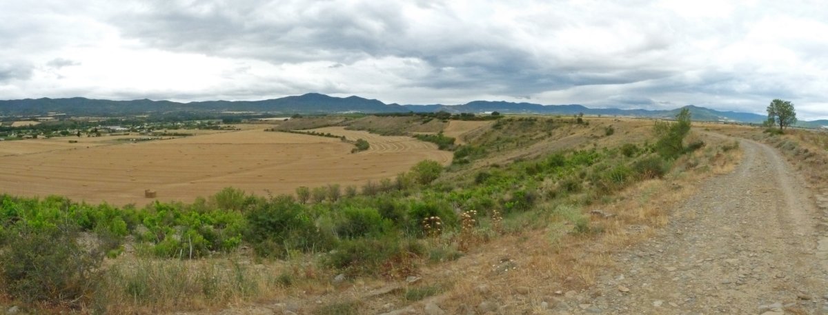 Sasoko bidea