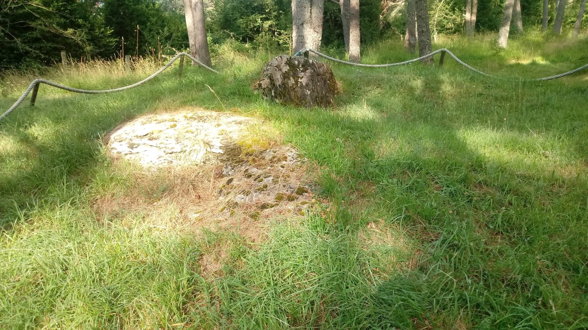 Asolaze trikuharria 3