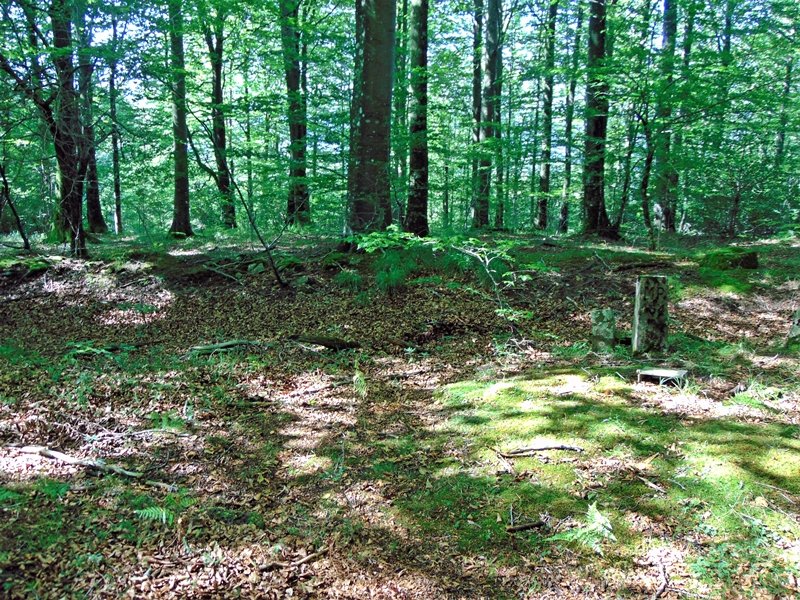 Tontorra