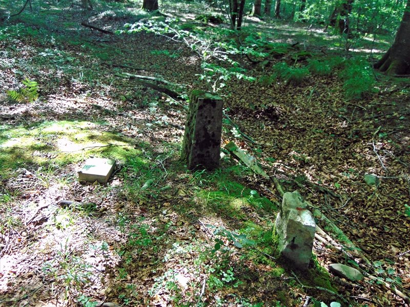 Tontorra