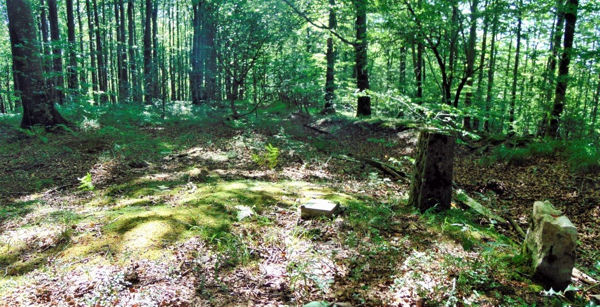 Tontorra
