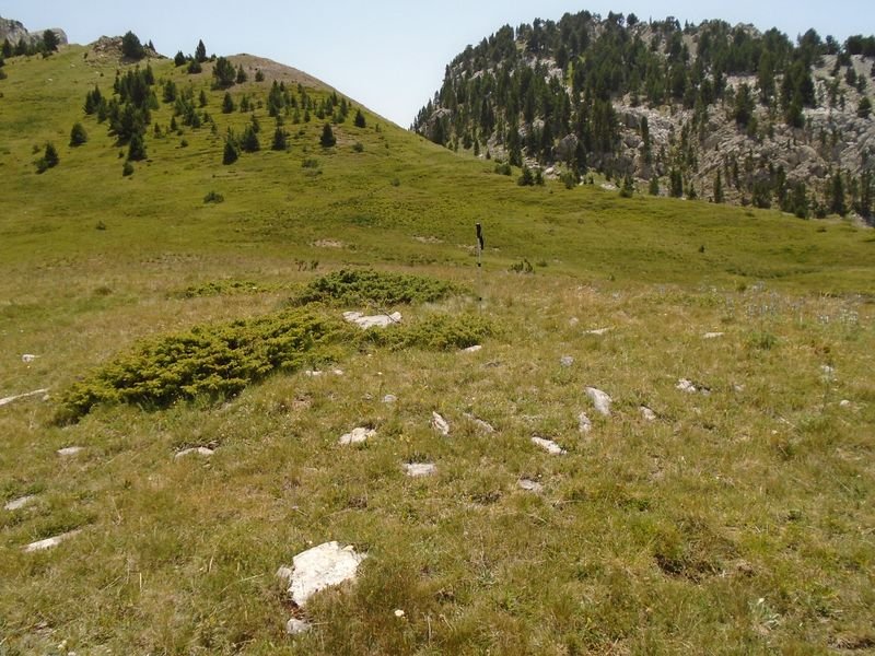 forato norte
