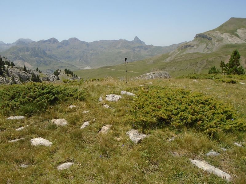 forato norte