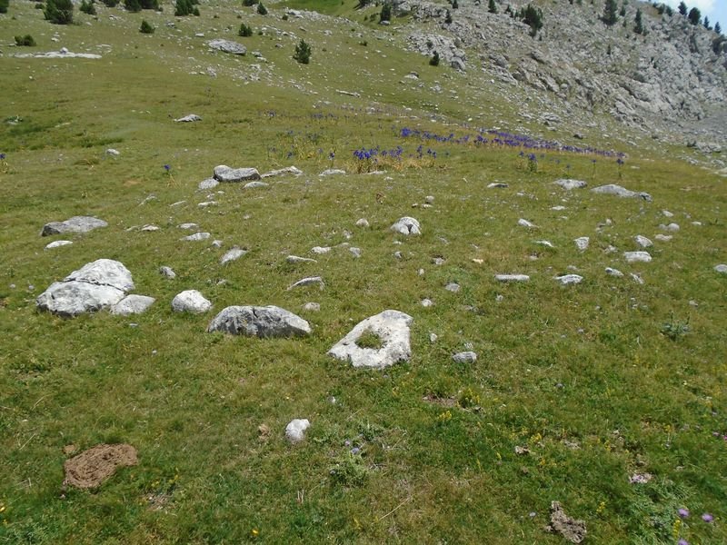 Forato 1