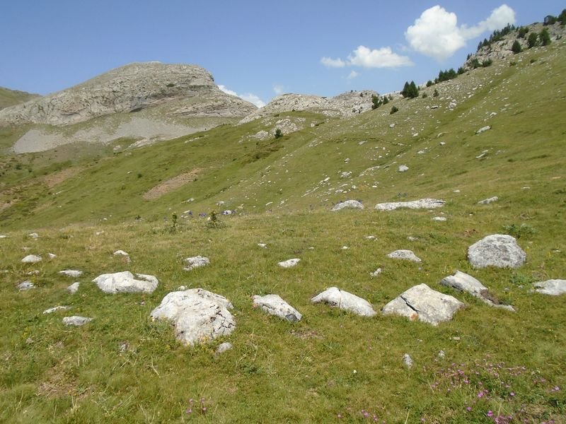 Forato 2