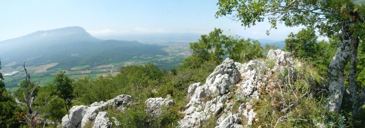 Labako gaiilurra