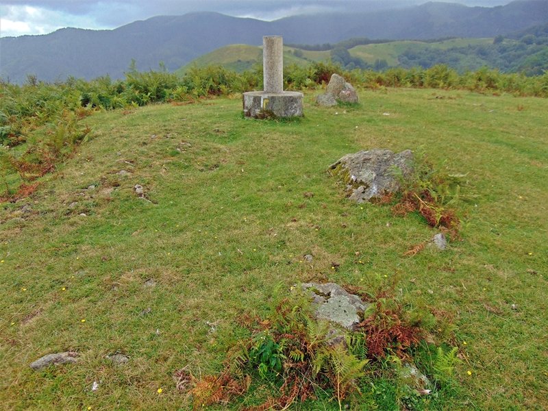 Tontorra