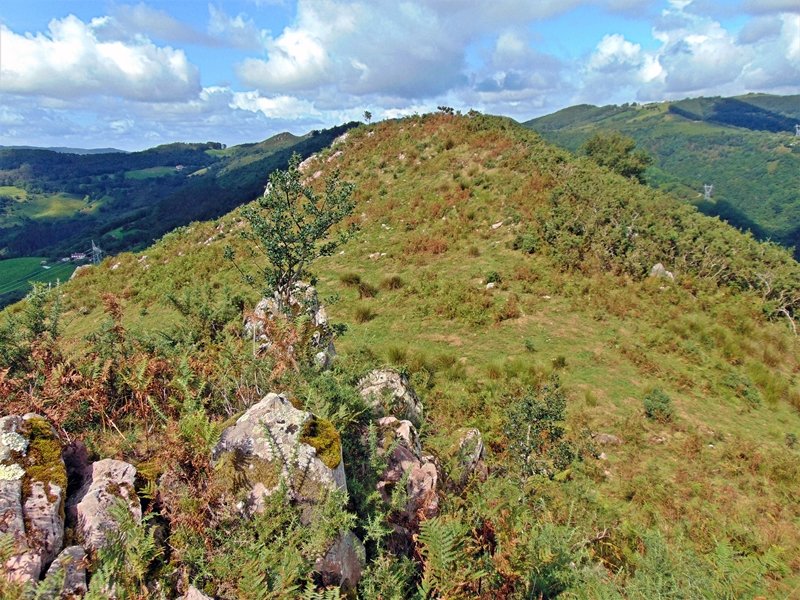 Tontorra