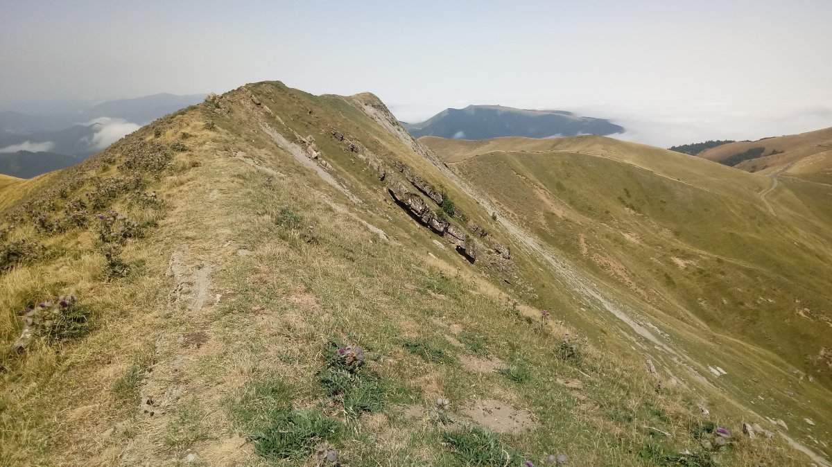 Bizkartze (1656m), tontorreko gandorra