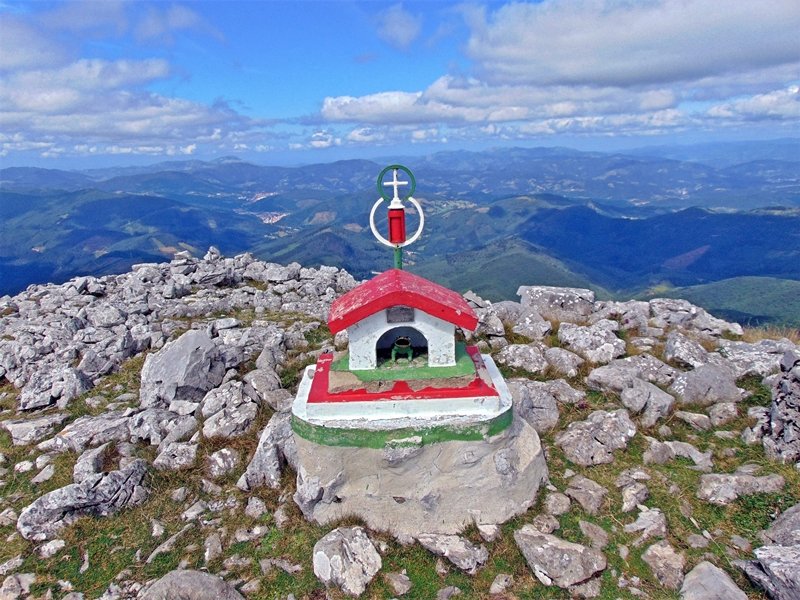 Buzoia