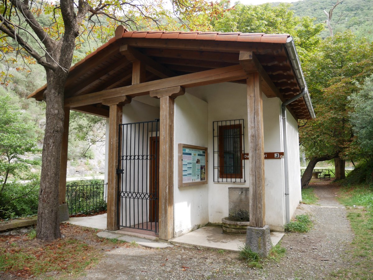 Dama-iturri