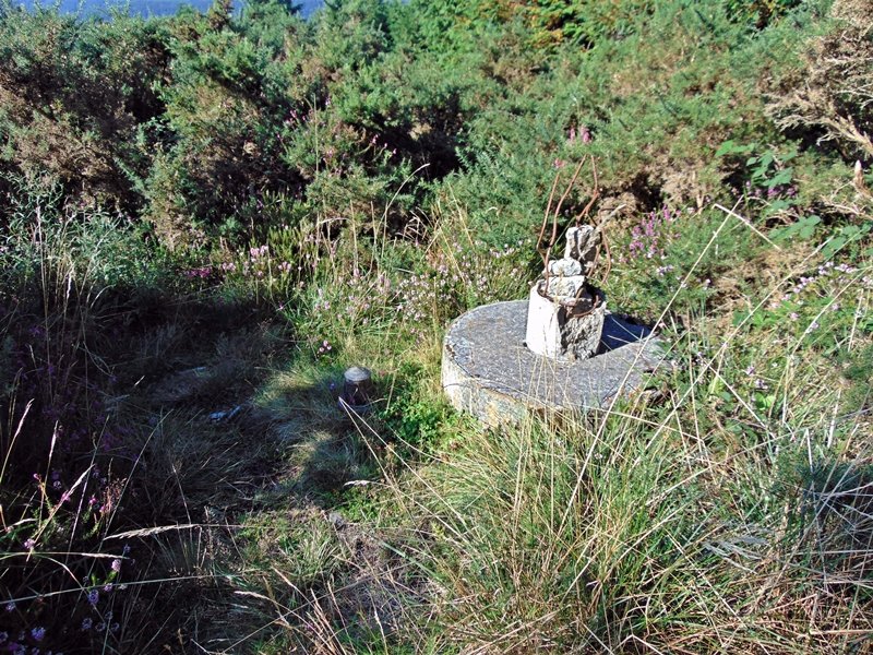 Tontorra