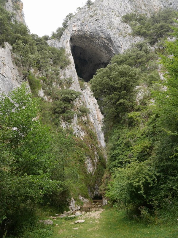 Lezea