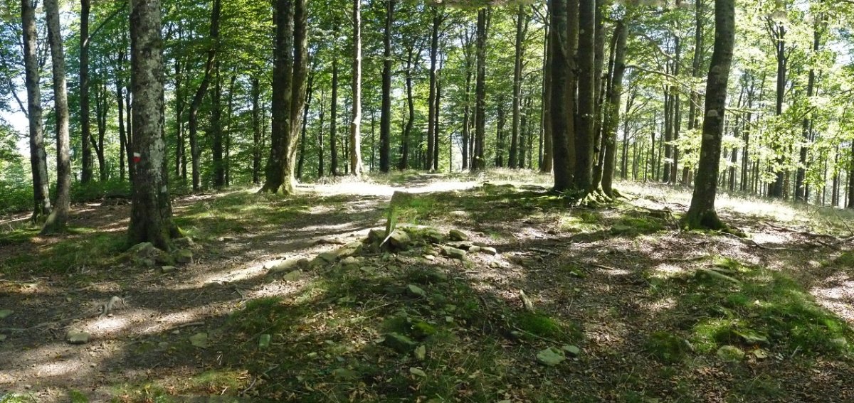 Igartzako gailurra
