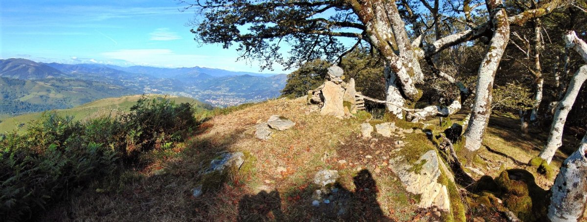 Tontorra