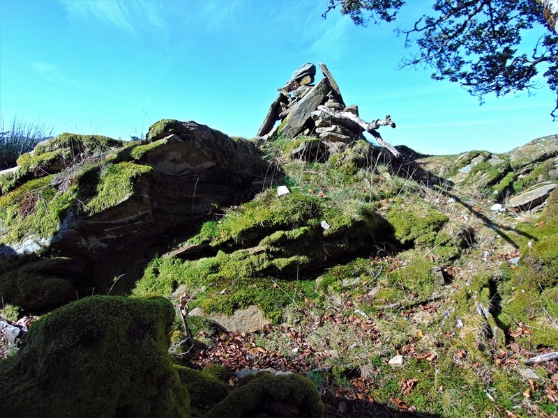 Tontorra