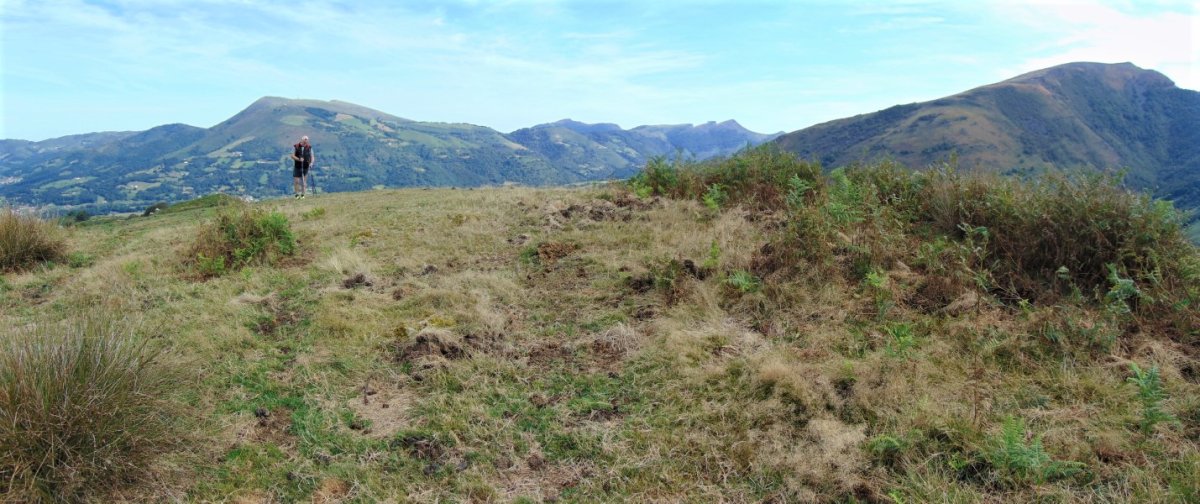 Tontorra