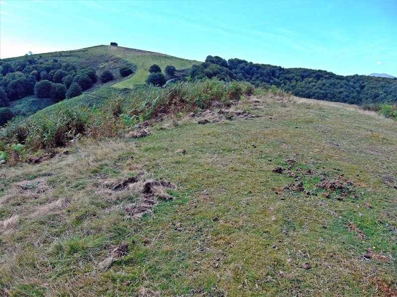 Tontorra