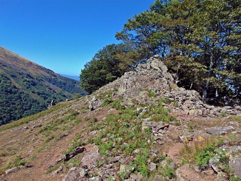 Tontorra