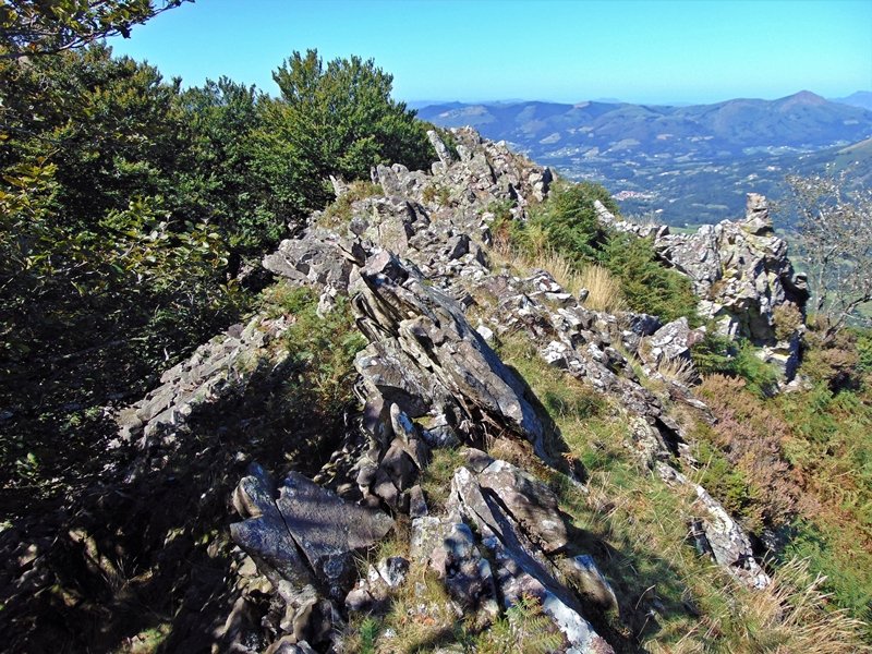 Tontorra