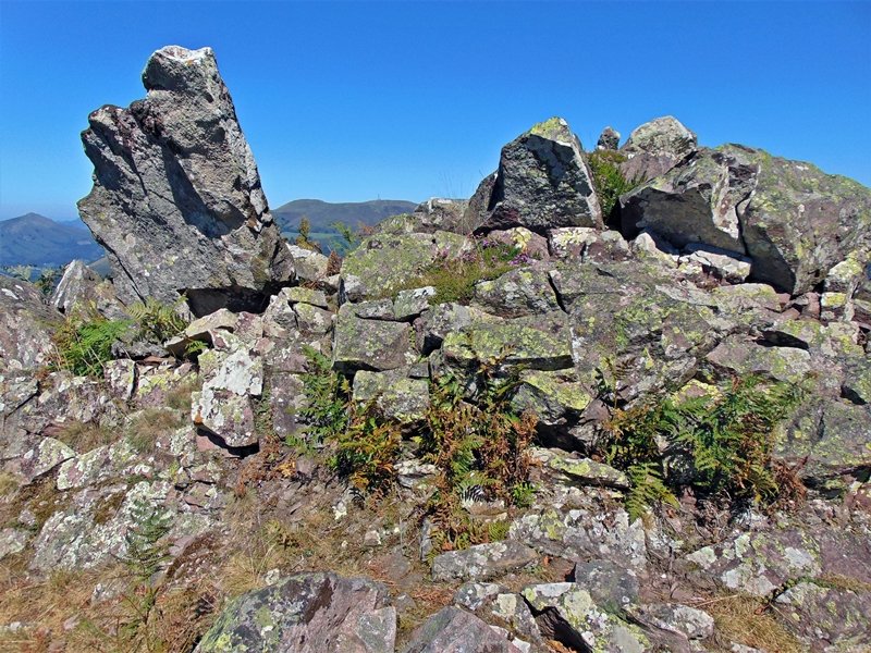 Tontorra