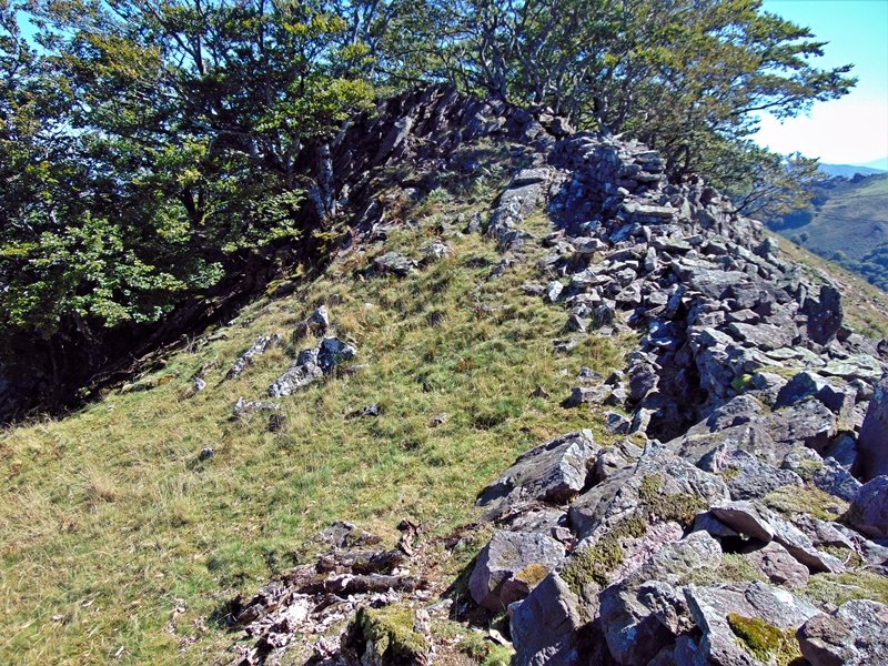 Tontorra