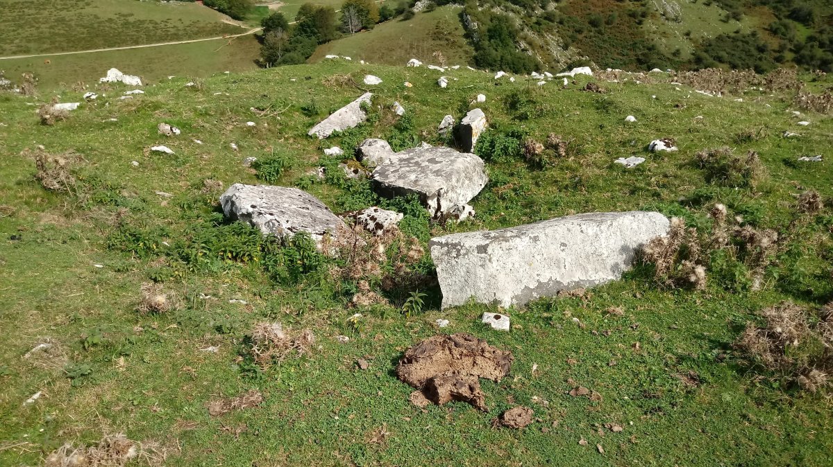 Argarbi trikuharria 2