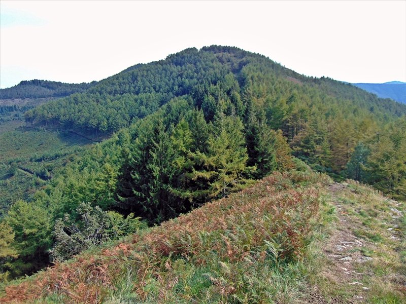Azketa