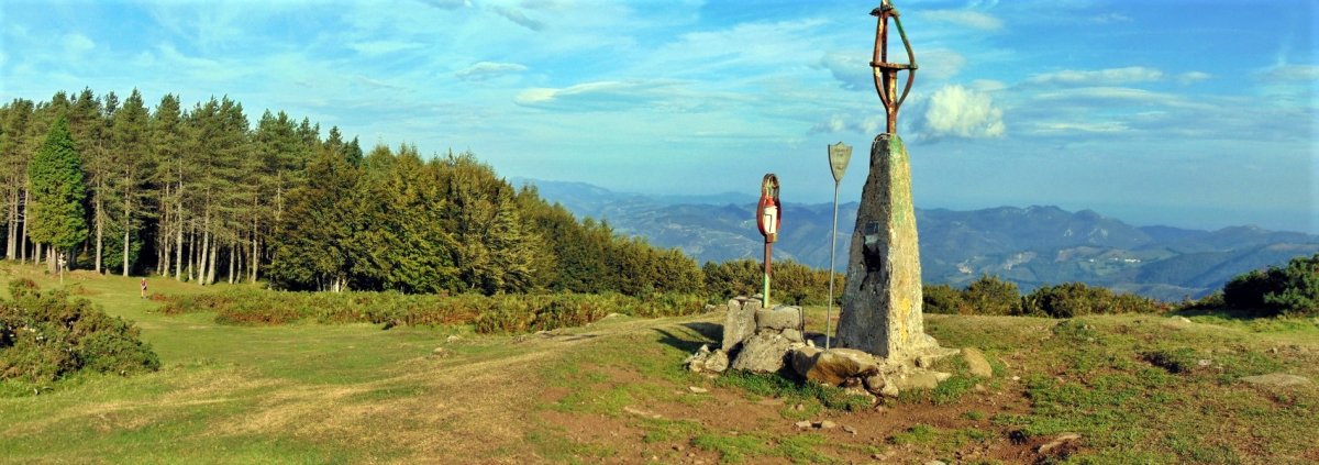 Tontorra
