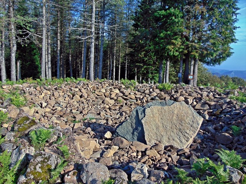 Irukurutzeta
