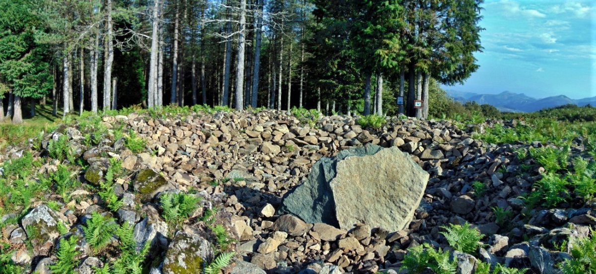 Irukurutzeta