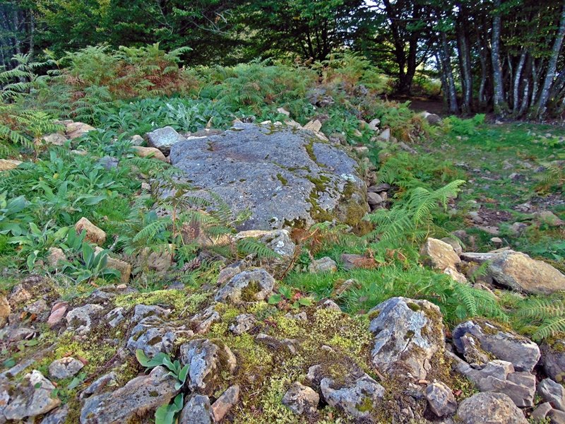 Keixetako Egiya