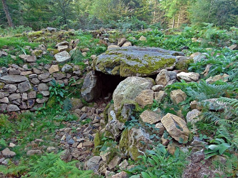 Keixetako Egiya
