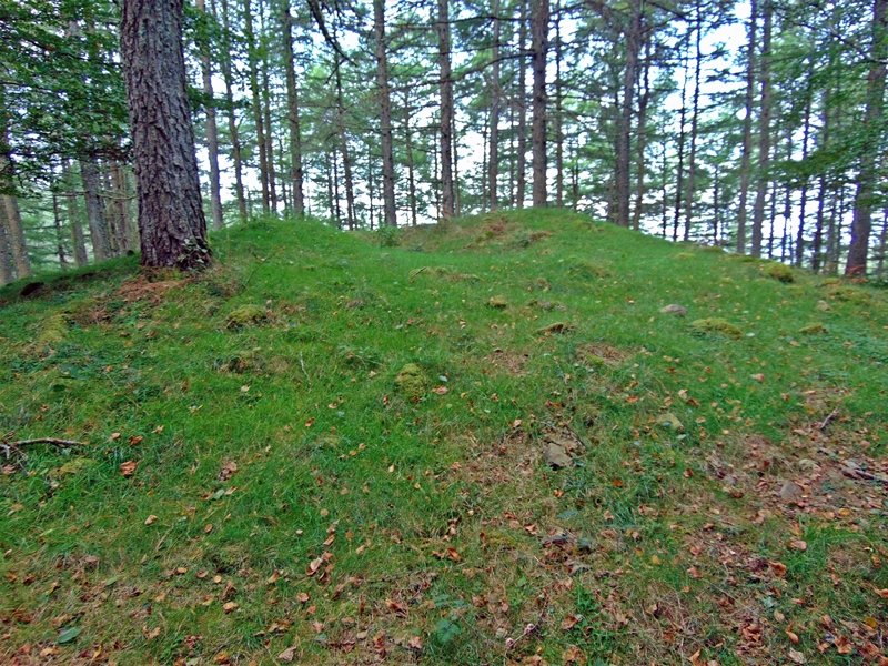 Maurketa