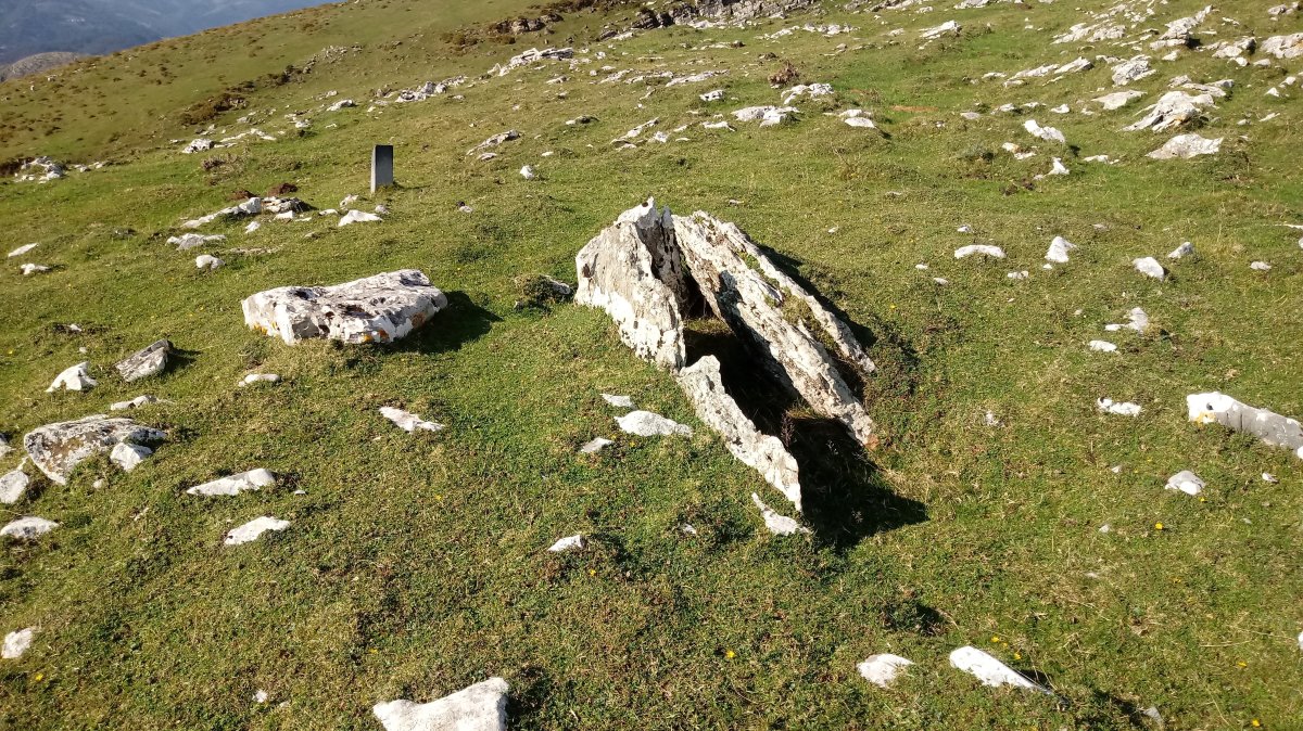 Aranzadi trikuharria 3