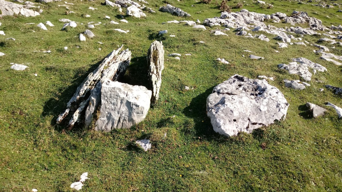 Aranzadi trikuharria 2