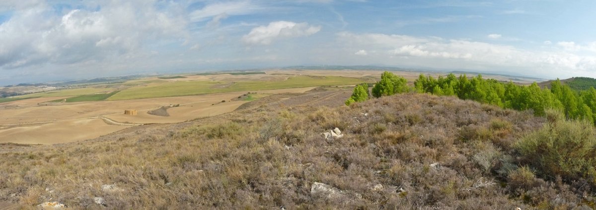 Sasoko gailurra