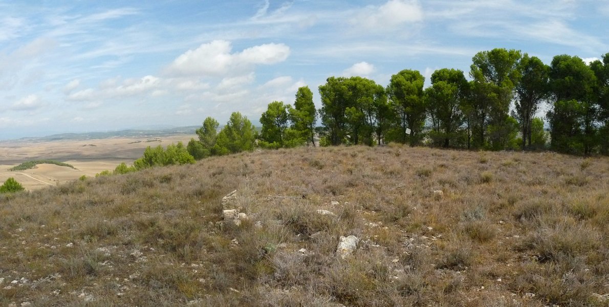Sasoko gailurra