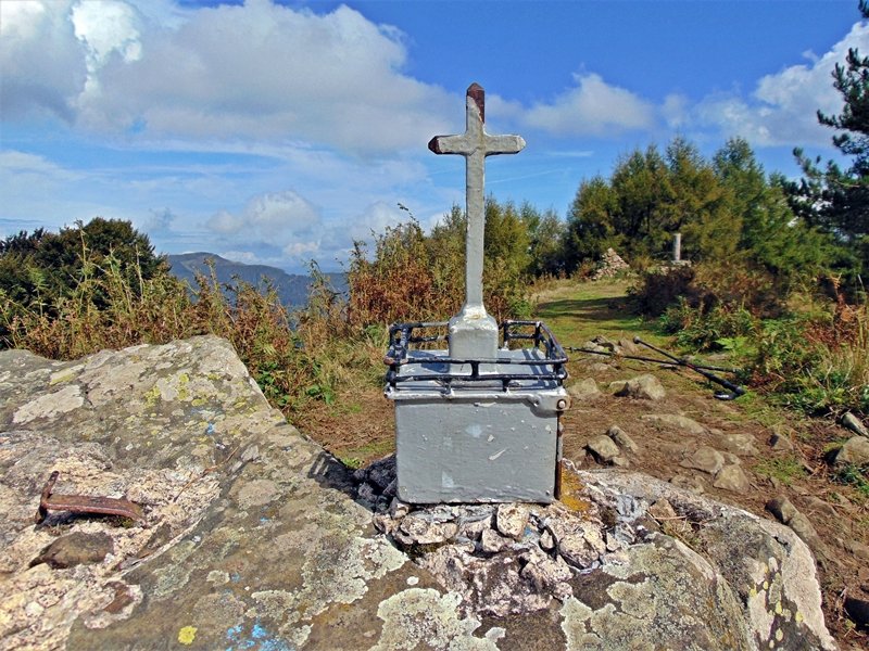 Buzoia