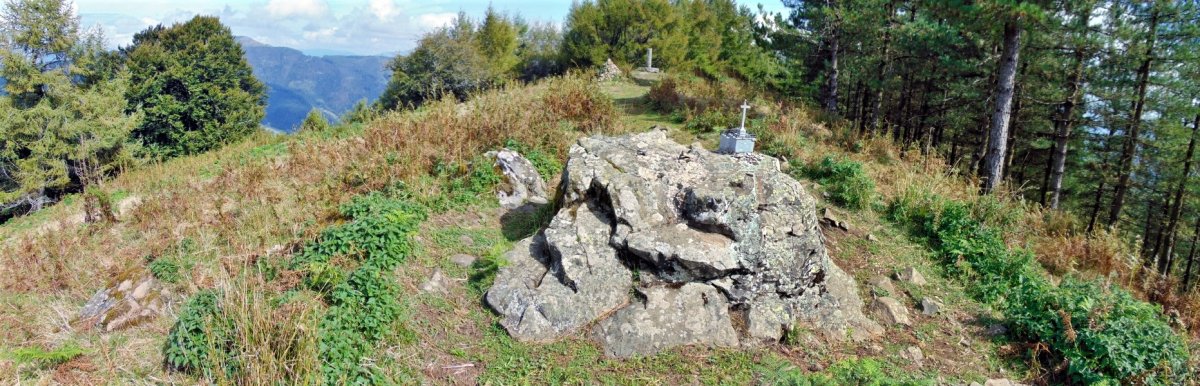 Tontorra