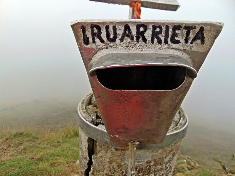 Buzoia