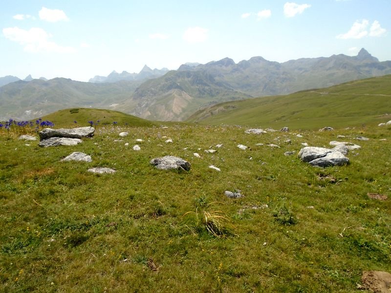 forato 1
