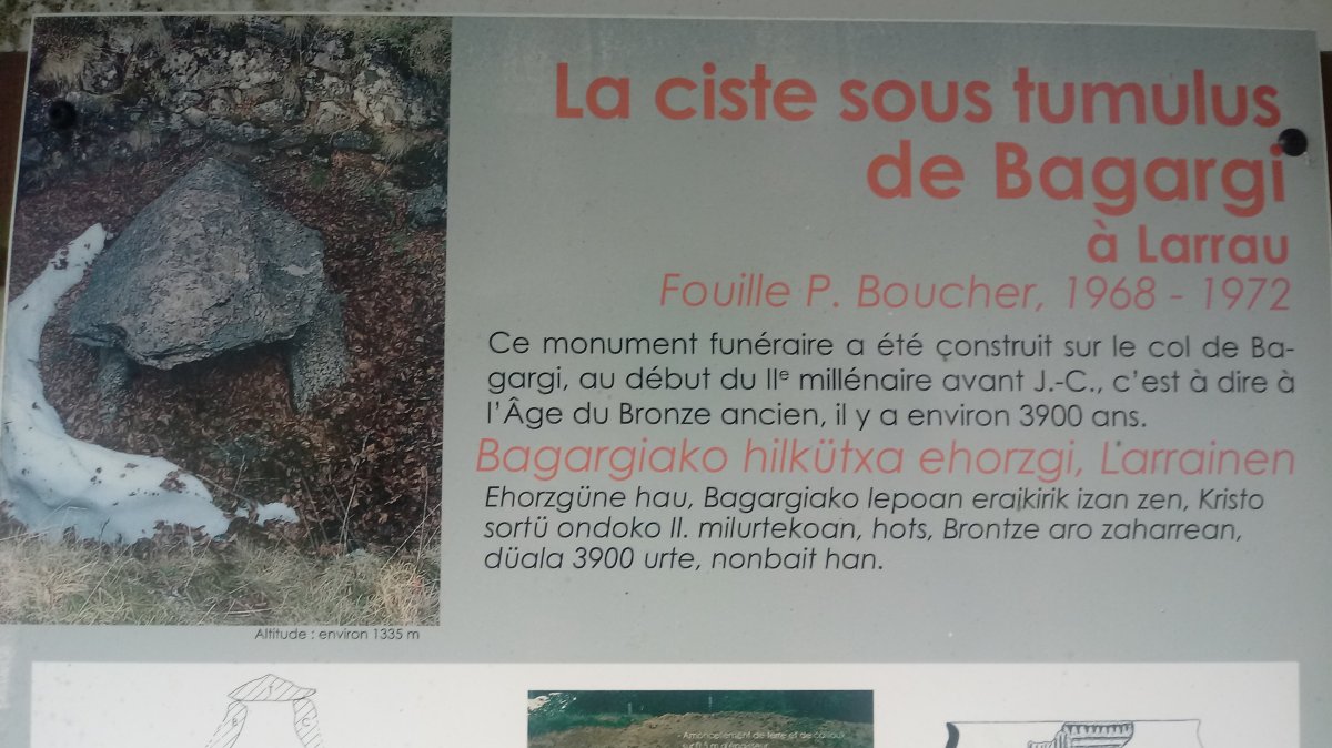 Bagargi trikuharria 4