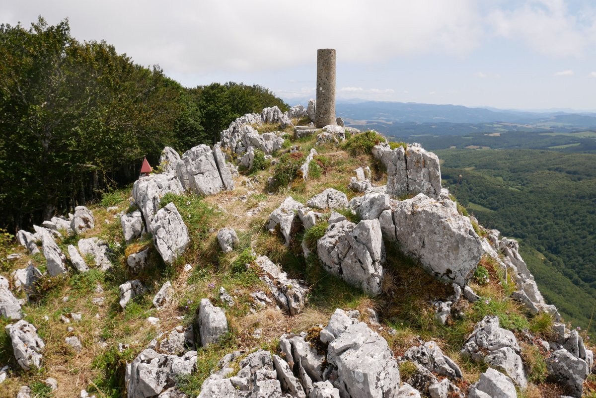 Tontorra, Berrendi