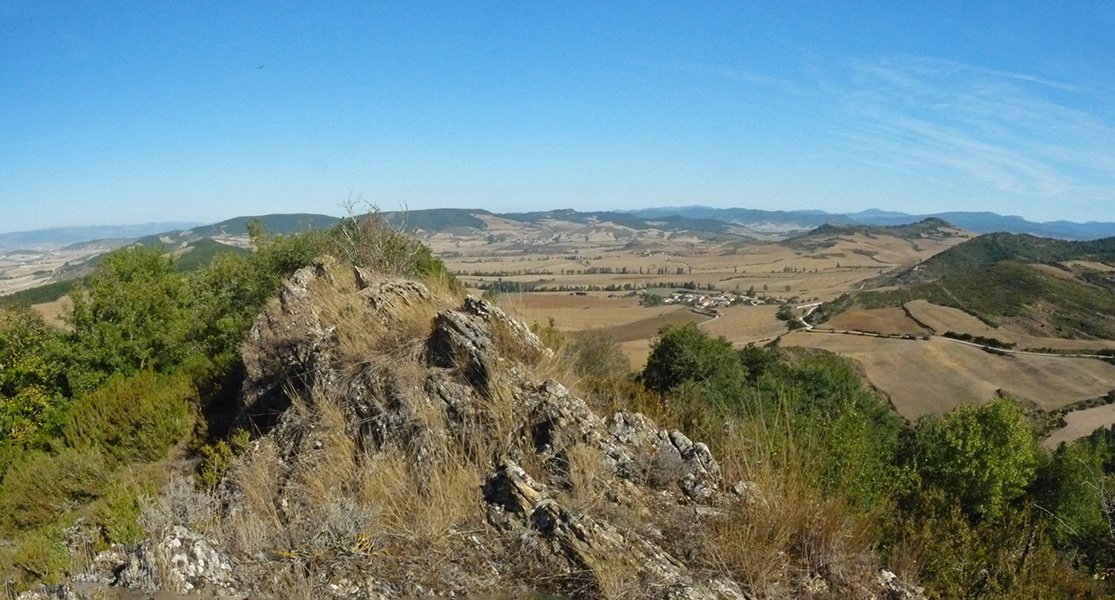 Iparraldeko gandorra