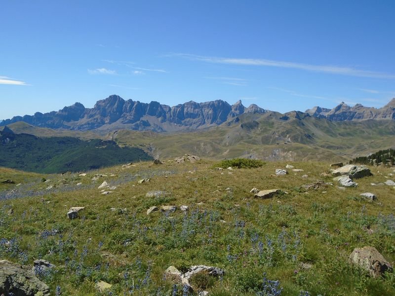 foradada norte 1